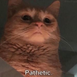 Meet your Posher, Martin